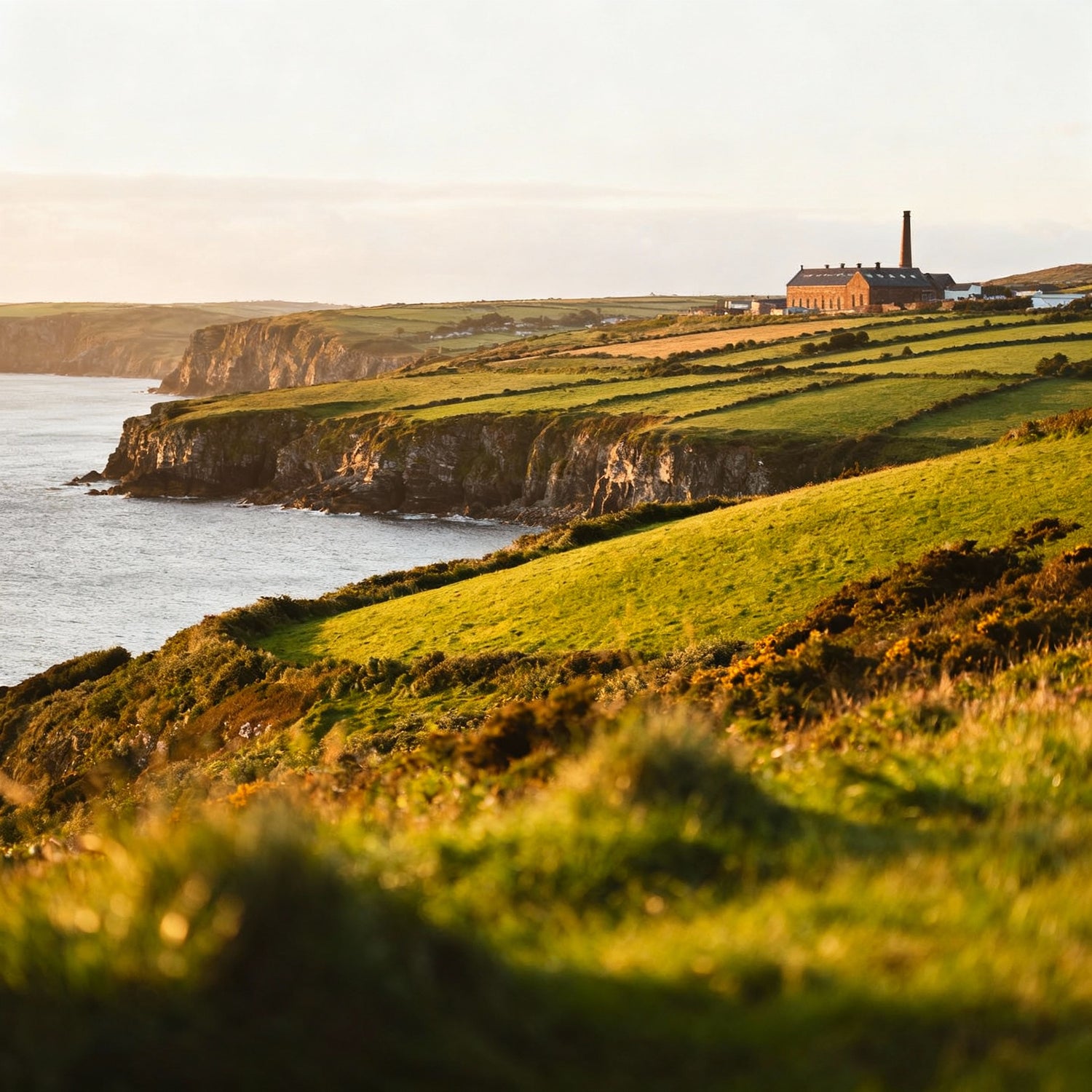 Die Landschaft der irischen Landschaft mit Distille im Hintergrund