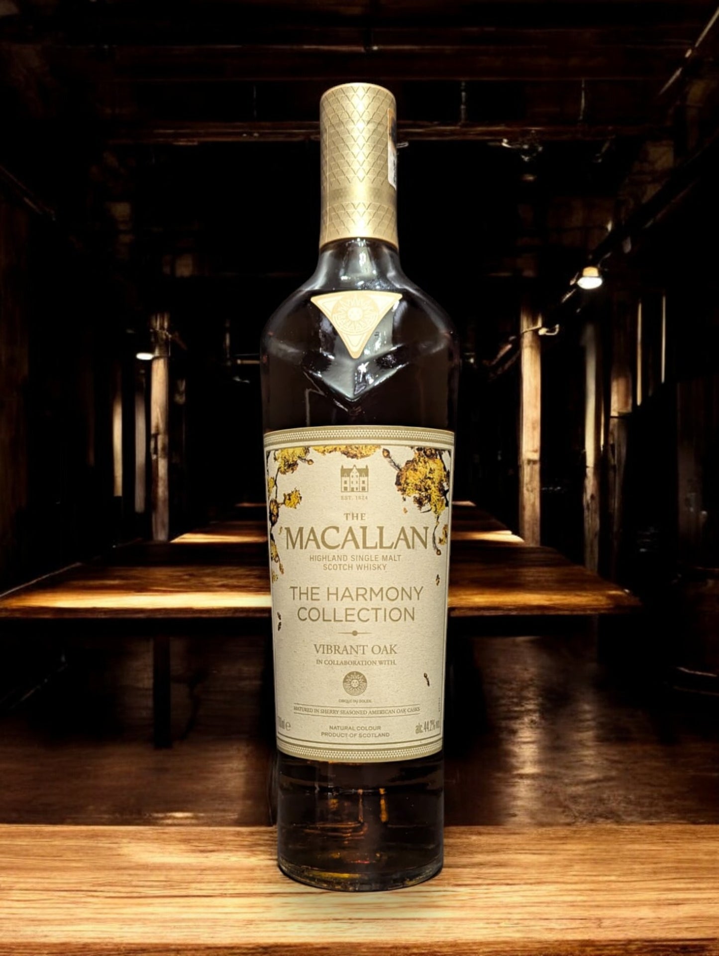 Flasche des Macallan Harmony Collection Vibrant Oak Single Malt Whisky steht vor einem dunklen Hintergrund, wobei das warme, goldene Amber des Whiskys betont wird und das elegante, helle Eichenholzfarbene Etikett ins Auge fällt.