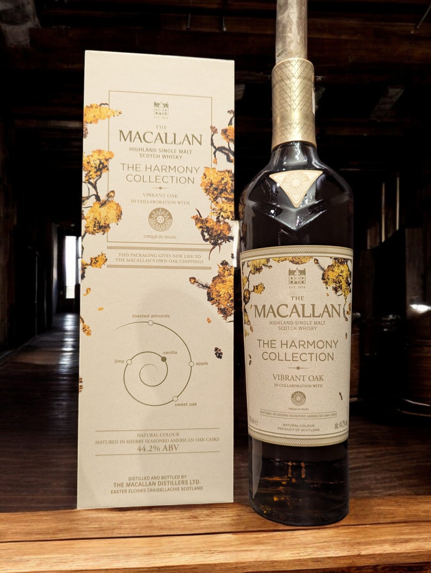 Flasche des Macallan Harmony Collection Vibrant Oak Single Malt Whisky steht vor einem dunklen Hintergrund, wobei das warme, goldene Amber des Whiskys betont wird und das elegante, helle Eichenholzfarbene Etikett ins Auge fällt.
